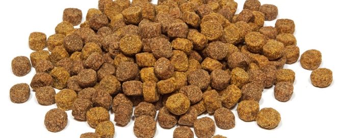 Piensos para perros y gatos...visto desde la alimentación natural