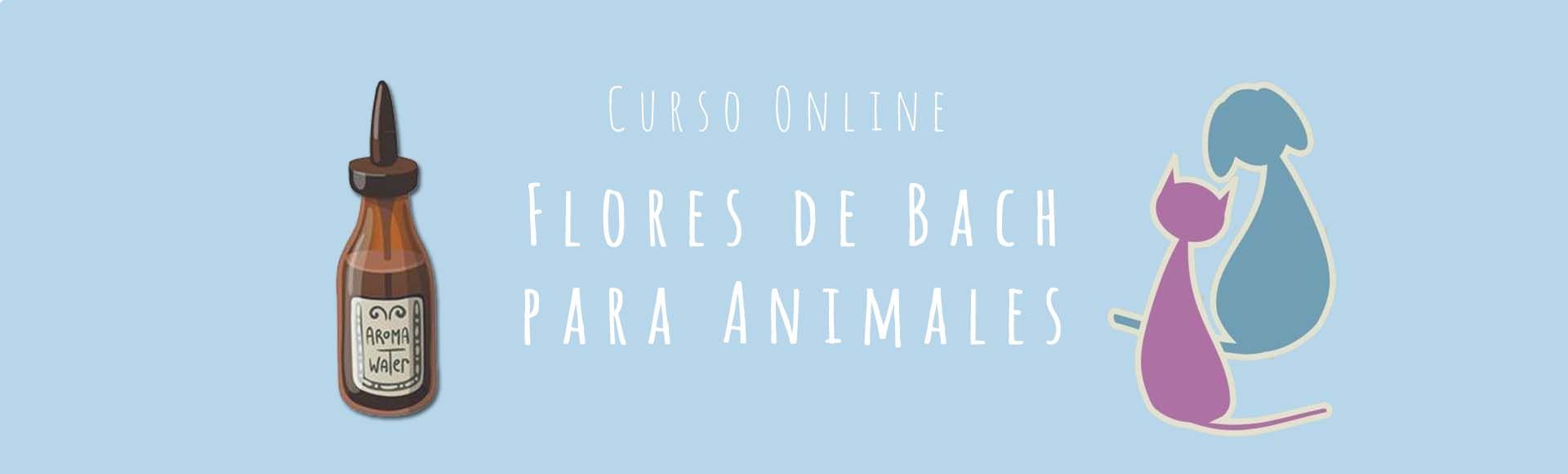 Curso Online Flores de Bach para Animales