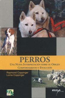 Perros, una nueva interpretación sobre su origen, comportamiento y evolución
