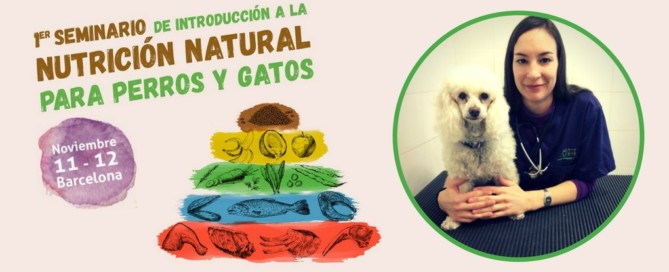 Entrevista a Neus Candela