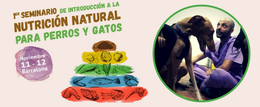 Entrevista a Vincenzo de Ioanni