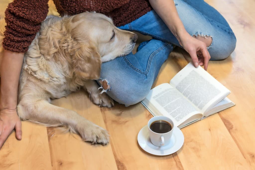 perro humano calma lectura