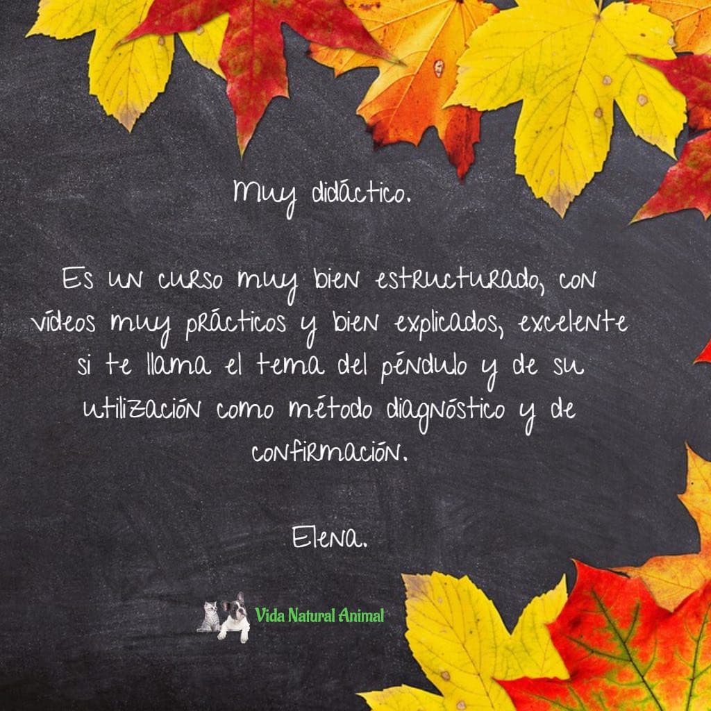 uso del pendulo en terapias naturales para animales
