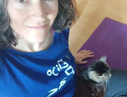 Tu camino en el Reiki para Animales empieza con la iniciación a Reiki Nivel 1
