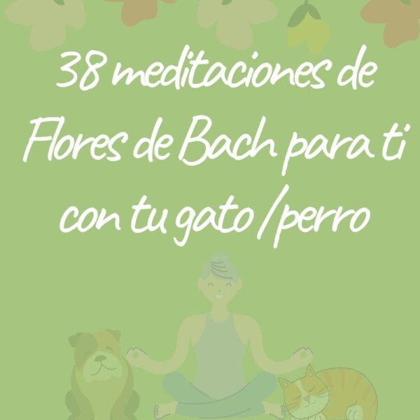 38 meditaciones de Flores de Bach para ti con tu gato perro