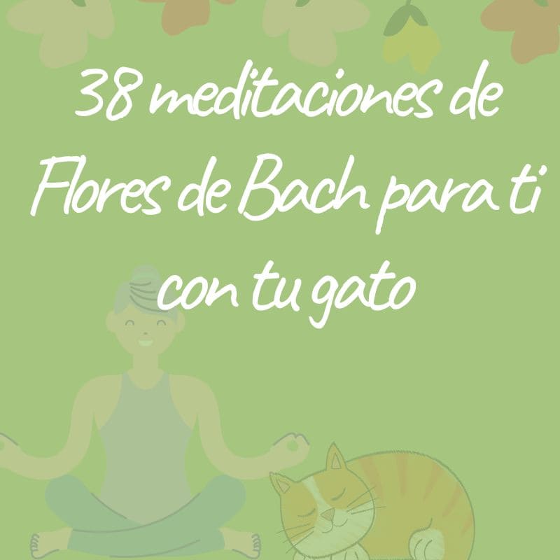 38 meditaciones de Flores de Bach para ti con tu gato