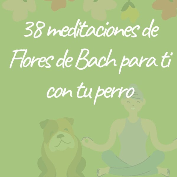 38 meditaciones de Flores de Bach para ti con tu perro